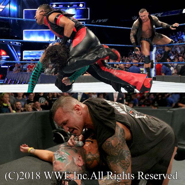 WWE ジェフ・ハーディー ネックレス ジェフ・ハーディ