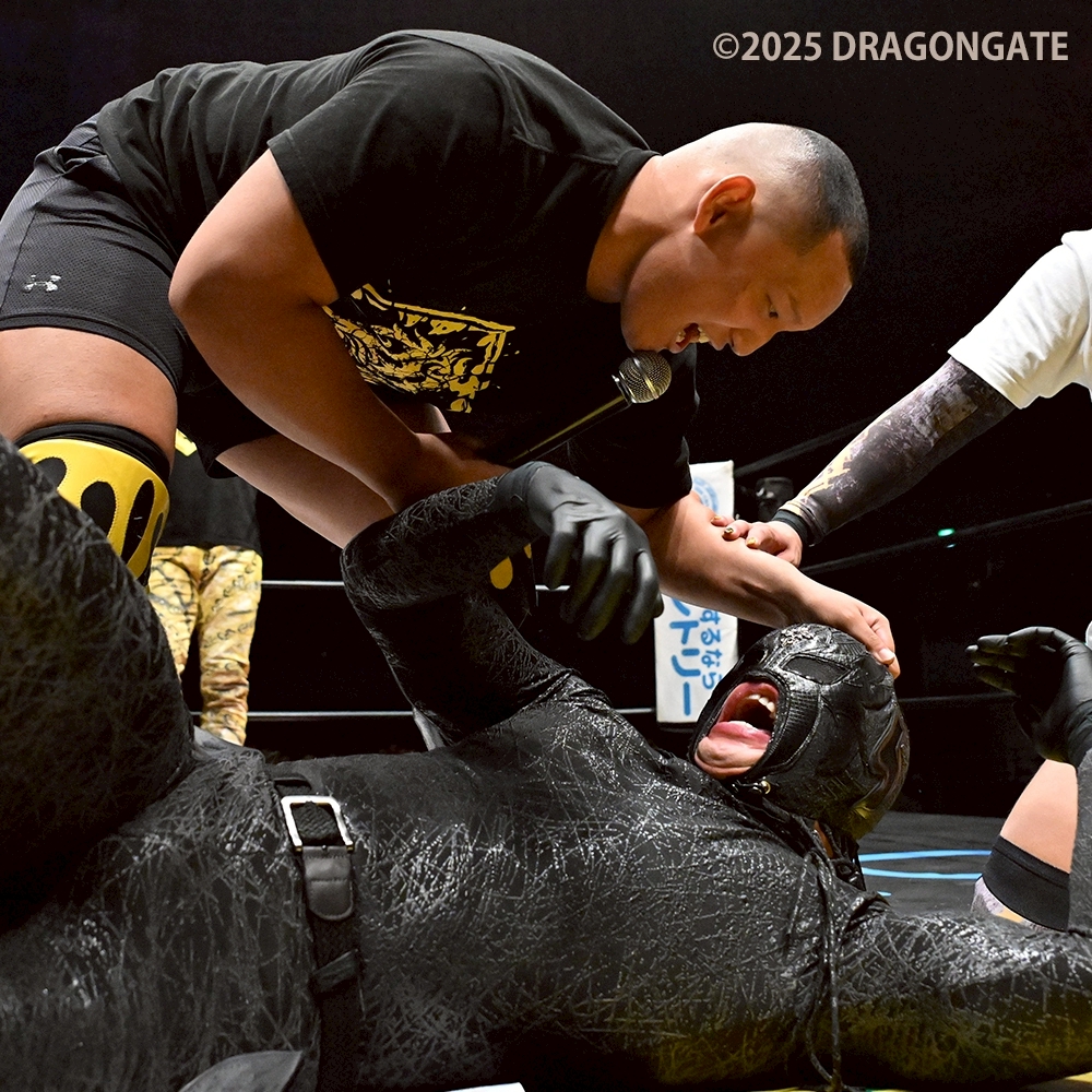 プロレス格闘技DX