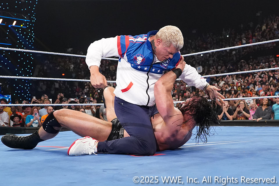 プロレス格闘技DX