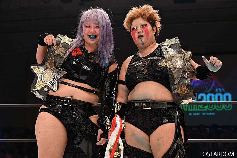 プロレス格闘技DX