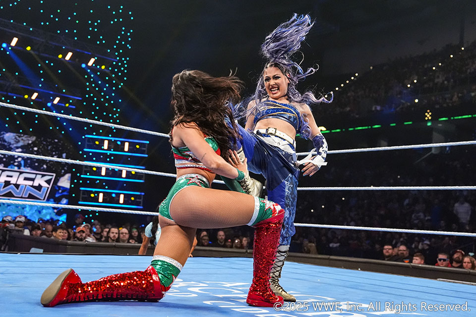 プロレス格闘技DX